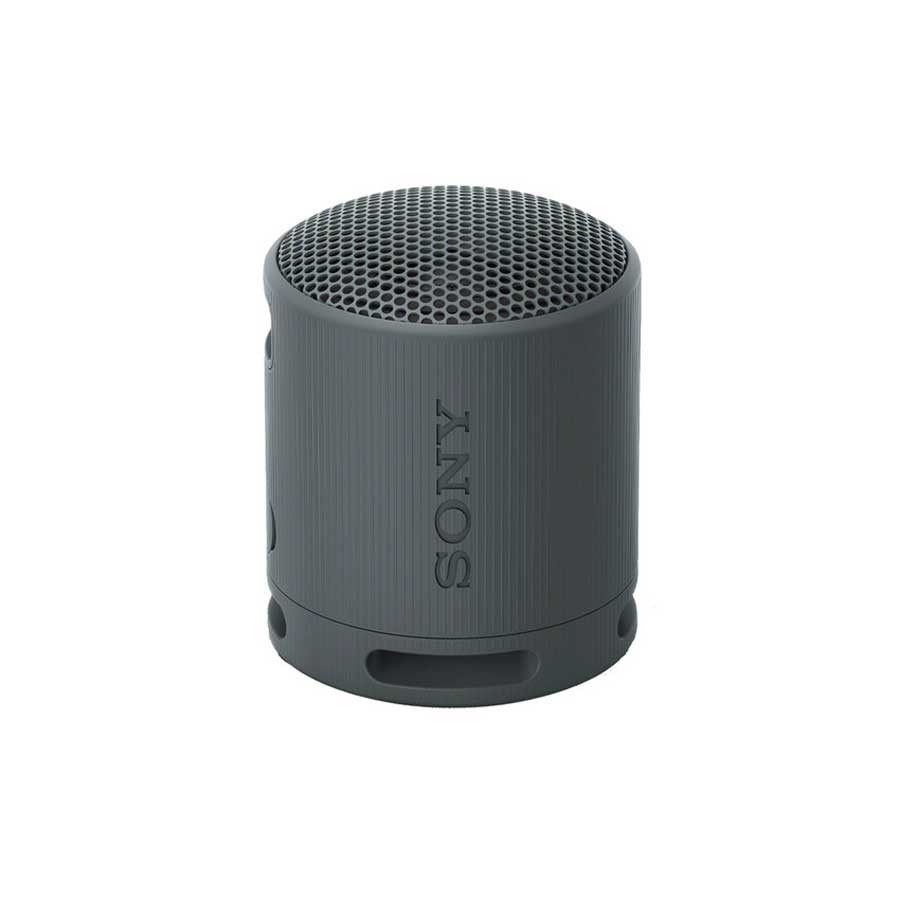 Sony SRS-XB100 Portable Waterproof Bluetooth Speaker- Black